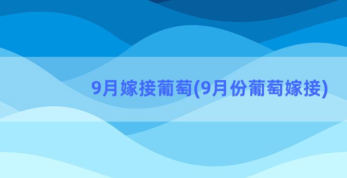 9月嫁接葡萄(9月份葡萄嫁接)