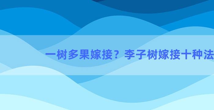 一树多果嫁接？李子树嫁接十种法