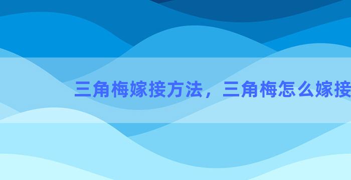 三角梅嫁接方法，三角梅怎么嫁接