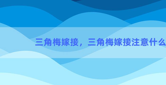 三角梅嫁接，三角梅嫁接注意什么