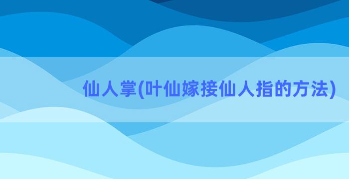 仙人掌(叶仙嫁接仙人指的方法)