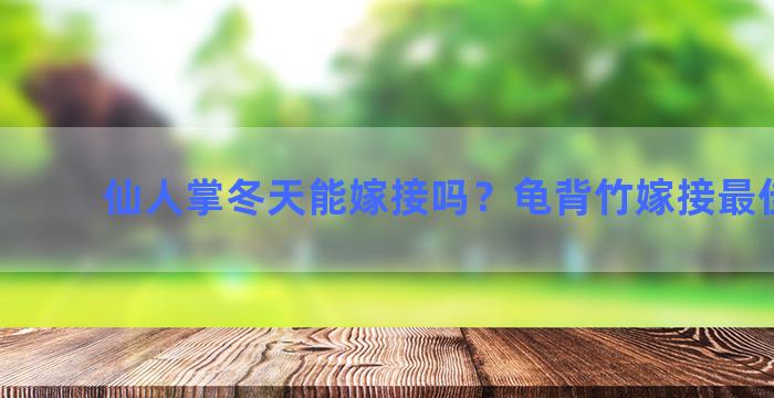 仙人掌冬天能嫁接吗？龟背竹嫁接最佳时间