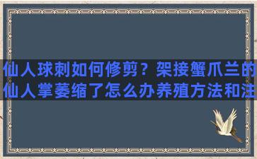 仙人球刺如何修剪？架接蟹爪兰的仙人掌萎缩了怎么办养殖方法和注意事项