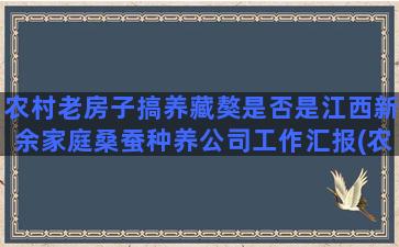 农村老房子搞养藏獒是否是江西新余家庭桑蚕种养公司工作汇报(农村的老房子能养什么赚钱)