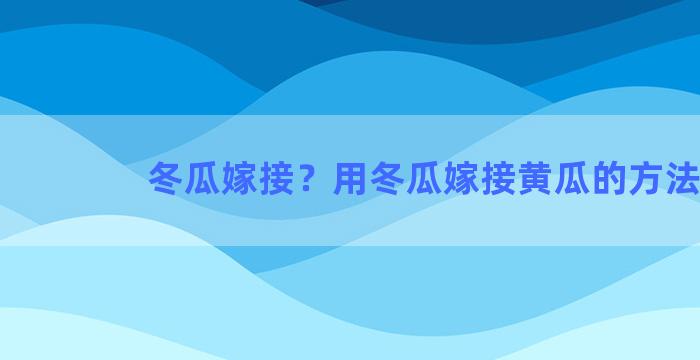 冬瓜嫁接？用冬瓜嫁接黄瓜的方法