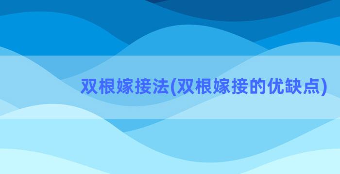 双根嫁接法(双根嫁接的优缺点)