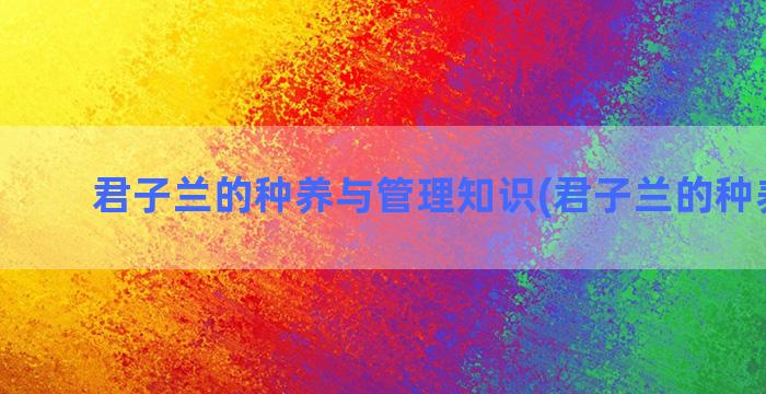 君子兰的种养与管理知识(君子兰的种养方法)