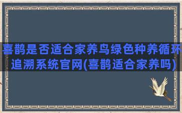 喜鹊是否适合家养鸟绿色种养循环追溯系统官网(喜鹊适合家养吗)