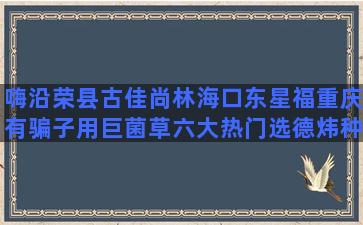 嗨沿荣县古佳尚林海口东星福重庆有骗子用巨菌草六大热门选德炜种养水仙花的水有变化吗