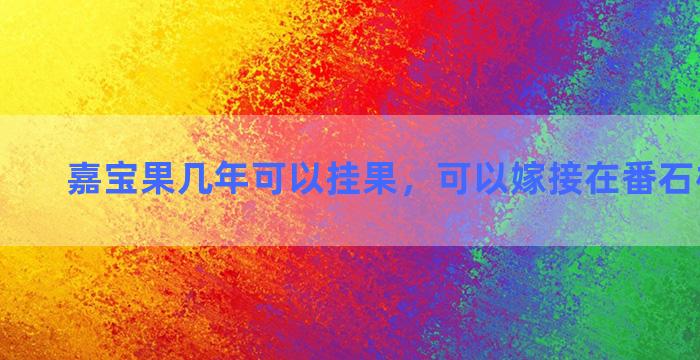 嘉宝果几年可以挂果，可以嫁接在番石榴上面吗