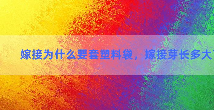 嫁接为什么要套塑料袋，嫁接芽长多大可以取袋