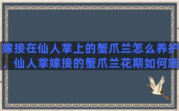 嫁接在仙人掌上的蟹爪兰怎么养护，仙人掌嫁接的蟹爪兰花期如何施肥和浇水