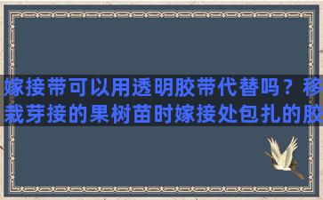 嫁接带可以用透明胶带代替吗？移栽芽接的果树苗时嫁接处包扎的胶带须要解除掉吗