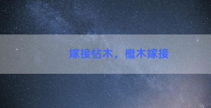 嫁接怗木，檵木嫁接