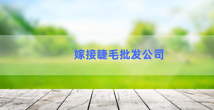 嫁接睫毛批发公司