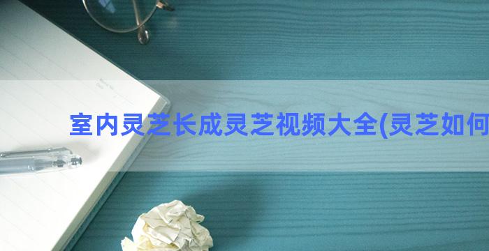 室内灵芝长成灵芝视频大全(灵芝如何嫁接)