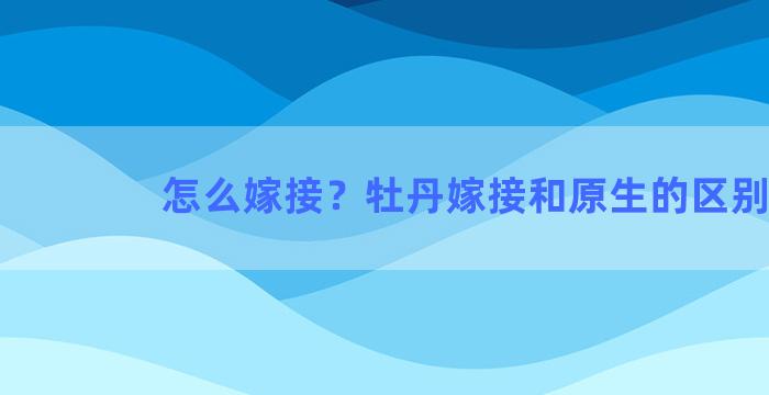 怎么嫁接？牡丹嫁接和原生的区别