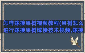 怎样嫁接果树视频教程(果树怎么进行嫁接果树嫁接技术视频,嫁接方法图解)