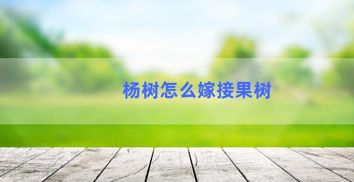 杨树怎么嫁接果树