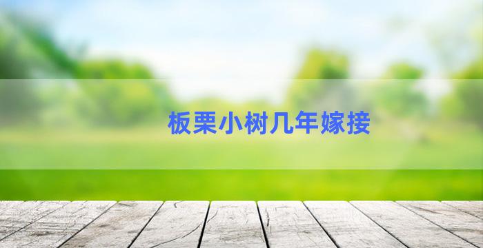 板栗小树几年嫁接