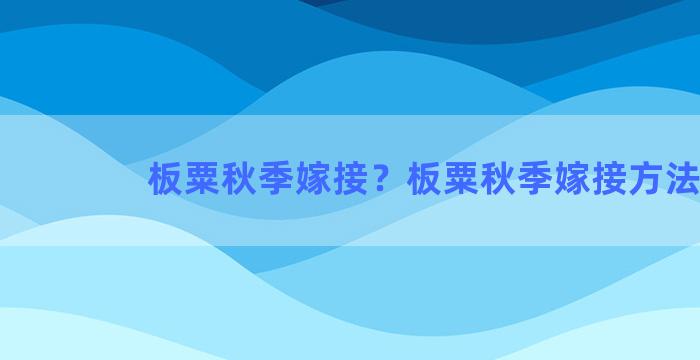 板粟秋季嫁接？板粟秋季嫁接方法