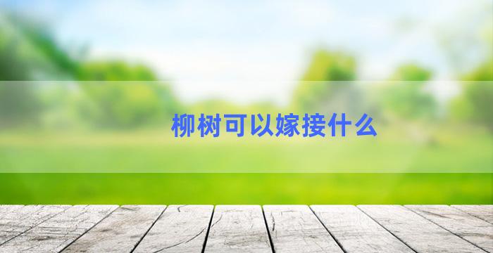 柳树可以嫁接什么