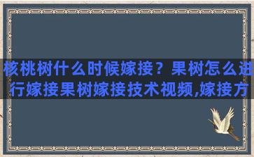 核桃树什么时候嫁接？果树怎么进行嫁接果树嫁接技术视频,嫁接方法图解