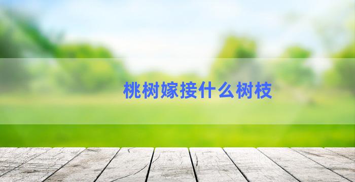 桃树嫁接什么树枝