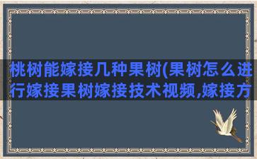 桃树能嫁接几种果树(果树怎么进行嫁接果树嫁接技术视频,嫁接方法图解)