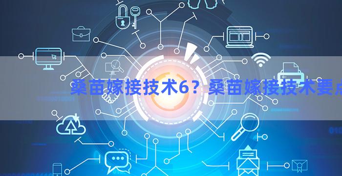 桑苗嫁接技术6？桑苗嫁接技术要点