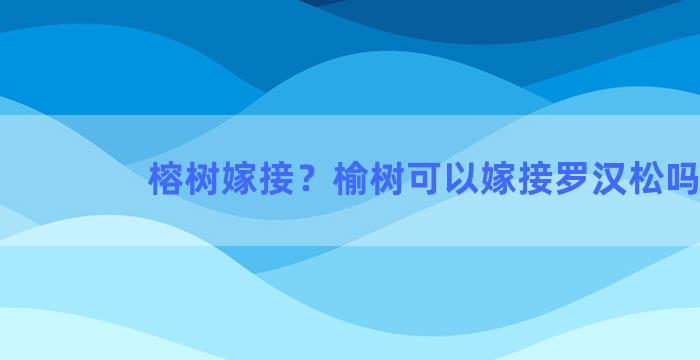 榕树嫁接？榆树可以嫁接罗汉松吗