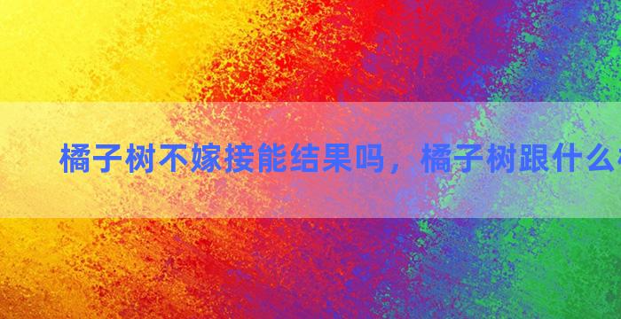 橘子树不嫁接能结果吗，橘子树跟什么树能嫁接