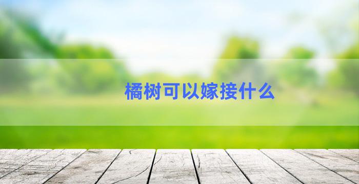 橘树可以嫁接什么