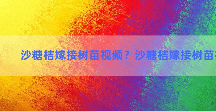 沙糖桔嫁接树苗视频？沙糖桔嫁接树苗视频播放