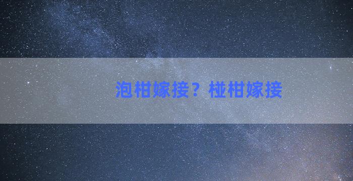 泡柑嫁接？椪柑嫁接