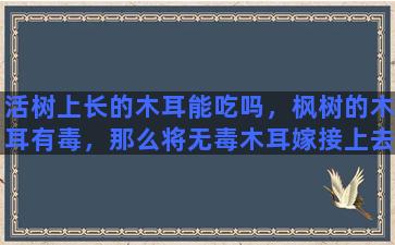 活树上长的木耳能吃吗，枫树的木耳有毒，那么将无毒木耳嫁接上去后会有毒吗