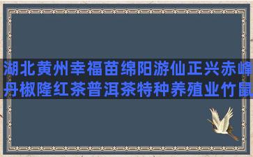 湖北黄州幸福苗绵阳游仙正兴赤峰丹椒隆红茶普洱茶特种养殖业竹鼠