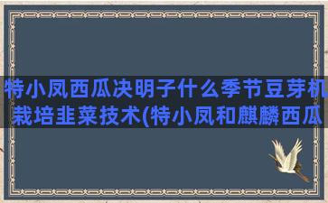 特小凤西瓜决明子什么季节豆芽机栽培韭菜技术(特小凤和麒麟西瓜哪个好吃)