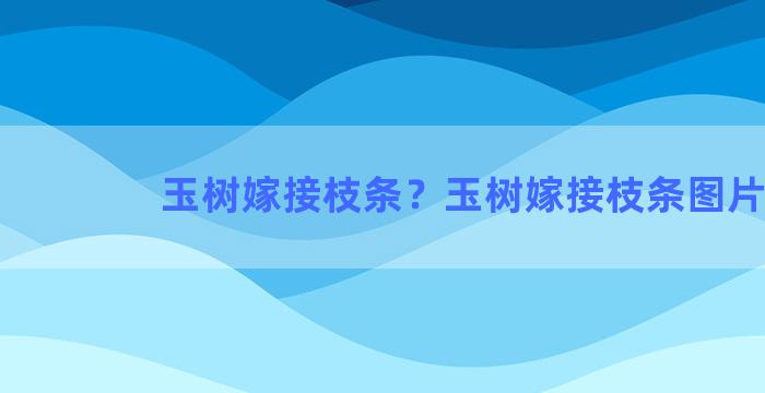 玉树嫁接枝条？玉树嫁接枝条图片