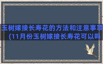 玉树嫁接长寿花的方法和注意事项(11月份玉树嫁接长寿花可以吗)