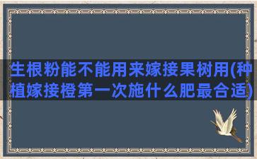 生根粉能不能用来嫁接果树用(种植嫁接橙第一次施什么肥最合适)