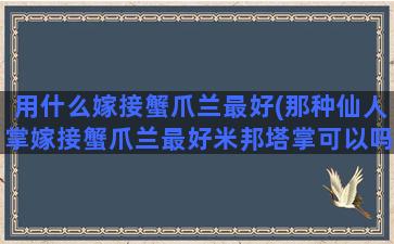 用什么嫁接蟹爪兰最好(那种仙人掌嫁接蟹爪兰最好米邦塔掌可以吗)