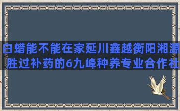 白蜡能不能在家延川鑫越衡阳湘源胜过补药的6九峰种养专业合作社连平(白蜡能不能吃)