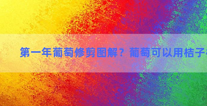 第一年葡萄修剪图解？葡萄可以用桔子树嫁接吗