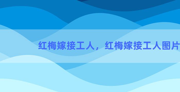 红梅嫁接工人，红梅嫁接工人图片