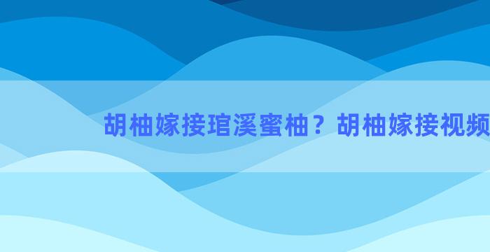 胡柚嫁接琯溪蜜柚？胡柚嫁接视频