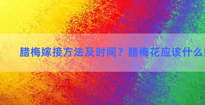 腊梅嫁接方法及时间？腊梅花应该什么时候嫁接