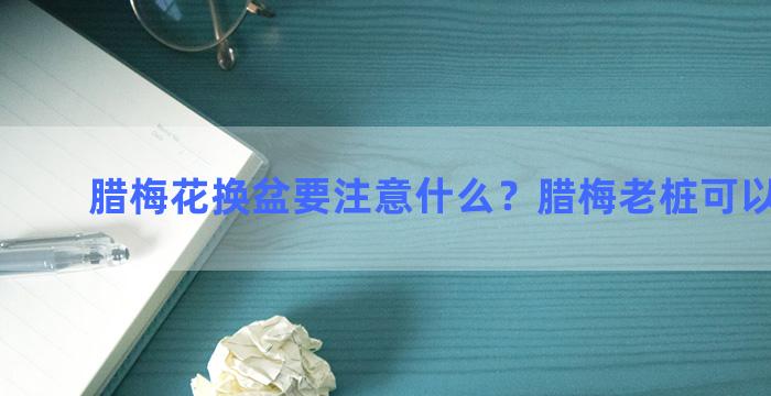 腊梅花换盆要注意什么？腊梅老桩可以栽活吗