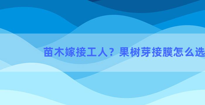 苗木嫁接工人？果树芽接膜怎么选