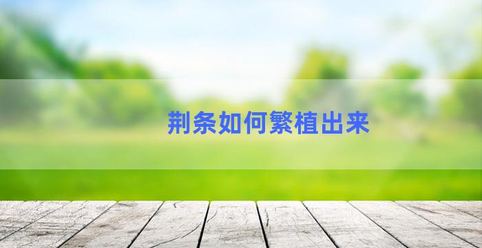 荆条如何繁植出来